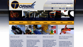 What Tornik.com website looked like in 2019 (5 years ago)