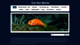What Tydpoolmarine.com website looked like in 2019 (4 years ago)