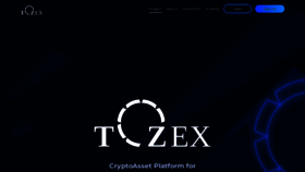 What Tozex.io website looked like in 2019 (4 years ago)