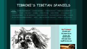 What Tibroke.com website looked like in 2019 (4 years ago)