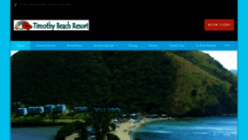 What Timothybeach.com website looked like in 2019 (4 years ago)