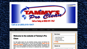 What Tammysprocleaning.com website looked like in 2019 (4 years ago)