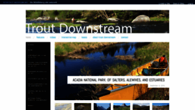 What Troutdownstream.net website looked like in 2019 (4 years ago)