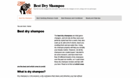 What Thebestdryshampoo.com website looked like in 2019 (4 years ago)