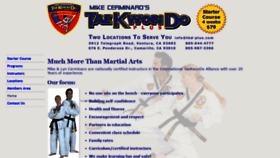 What Tkd-plus.com website looked like in 2019 (4 years ago)