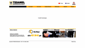 What Tesamel.com.tr website looked like in 2019 (4 years ago)