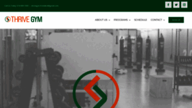 What Thrivegym.com website looked like in 2019 (4 years ago)