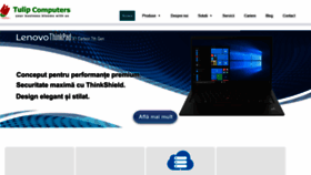 What Tulip.ro website looked like in 2019 (6 years ago)