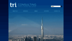 What Trimideast.com website looked like in 2019 (4 years ago)