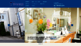 What Tanakahifu.jp website looked like in 2019 (4 years ago)