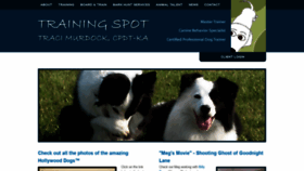 What Training-spot.net website looked like in 2019 (4 years ago)