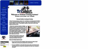 What Trismartusa.com website looked like in 2019 (4 years ago)