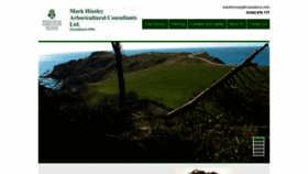 What Treeadvice.info website looked like in 2019 (6 years ago)