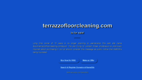 What Terrazzofloorcleaning.com website looked like in 2019 (4 years ago)