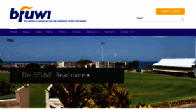 What Thebfuwi.org website looked like in 2019 (5 years ago)