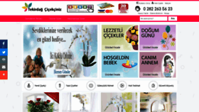 What Tekirdagcicekciniz.com website looked like in 2019 (4 years ago)