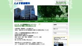 What Toyosu-ganka.com website looked like in 2019 (6 years ago)