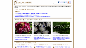 What Trial-set.jp website looked like in 2019 (4 years ago)