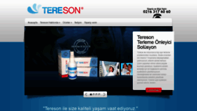 What Tereson.com.tr website looked like in 2019 (4 years ago)