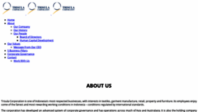 What Trisula.com website looked like in 2019 (4 years ago)