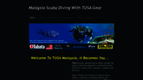 What Tusamalaysia.com website looked like in 2019 (4 years ago)