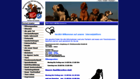 What Tierheim-hof.de website looked like in 2020 (4 years ago)