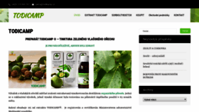 What Todikamp.cz website looked like in 2020 (4 years ago)