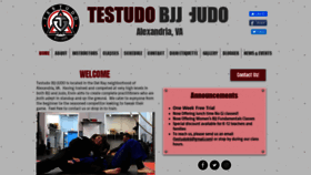 What Testudobjj.com website looked like in 2020 (4 years ago)