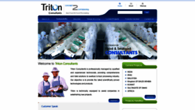 What Tritonconsultants.com website looked like in 2020 (4 years ago)