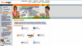 What Tenamax.com website looked like in 2020 (4 years ago)