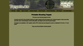 What Targets.ws website looked like in 2020 (4 years ago)