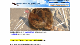 What Torihiko.jp website looked like in 2020 (4 years ago)