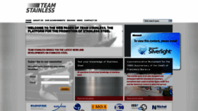 What Teamstainless.org website looked like in 2020 (4 years ago)
