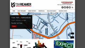 What Timreamer.com website looked like in 2020 (4 years ago)