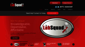 What Thelabsquad.com website looked like in 2020 (4 years ago)