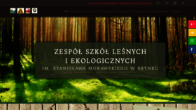 What Tlbrynek.edu.pl website looked like in 2020 (4 years ago)