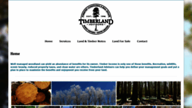 What Timberlandadvisors.com website looked like in 2020 (4 years ago)