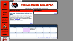 What Tillicumpta.org website looked like in 2020 (4 years ago)