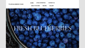 What Tylerblueberry.com website looked like in 2020 (4 years ago)