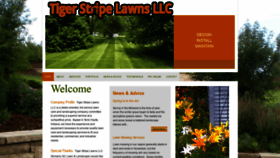 What Tigerlawns.com website looked like in 2020 (4 years ago)