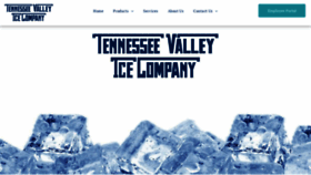 What Tennesseevalleyice.com website looked like in 2020 (4 years ago)