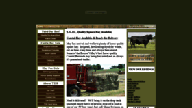 What Thirddayranch.com website looked like in 2020 (4 years ago)