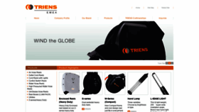 What Triens.eu.com website looked like in 2020 (4 years ago)