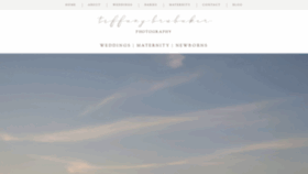 What Tiffanybrubaker.com website looked like in 2020 (4 years ago)