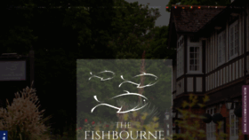 What Thefishbourne.co.uk website looked like in 2020 (4 years ago)