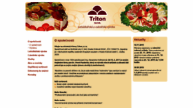 What Tritonhk.cz website looked like in 2020 (4 years ago)