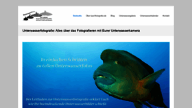 What Tauchfotografie.de website looked like in 2020 (4 years ago)