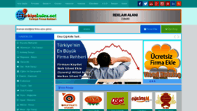 What Turkiyeindex.net website looked like in 2020 (4 years ago)