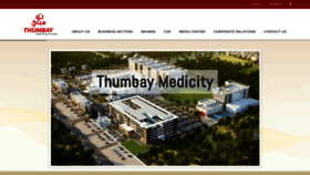 What Thumbay.com website looked like in 2020 (4 years ago)