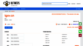 What Tgov.cn website looked like in 2020 (4 years ago)